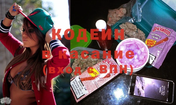 трава Наволоки