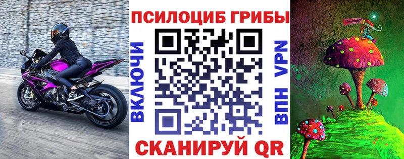 Галлюциногенные грибы мицелий  магазин  наркотиков  Новая Усмань 