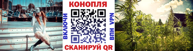 Бошки марихуана OG Kush  Новая Усмань 